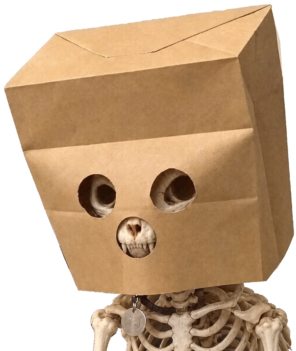 A cat skeleton wearing a brown paper bag with two eye holes and a little round mouth hole.